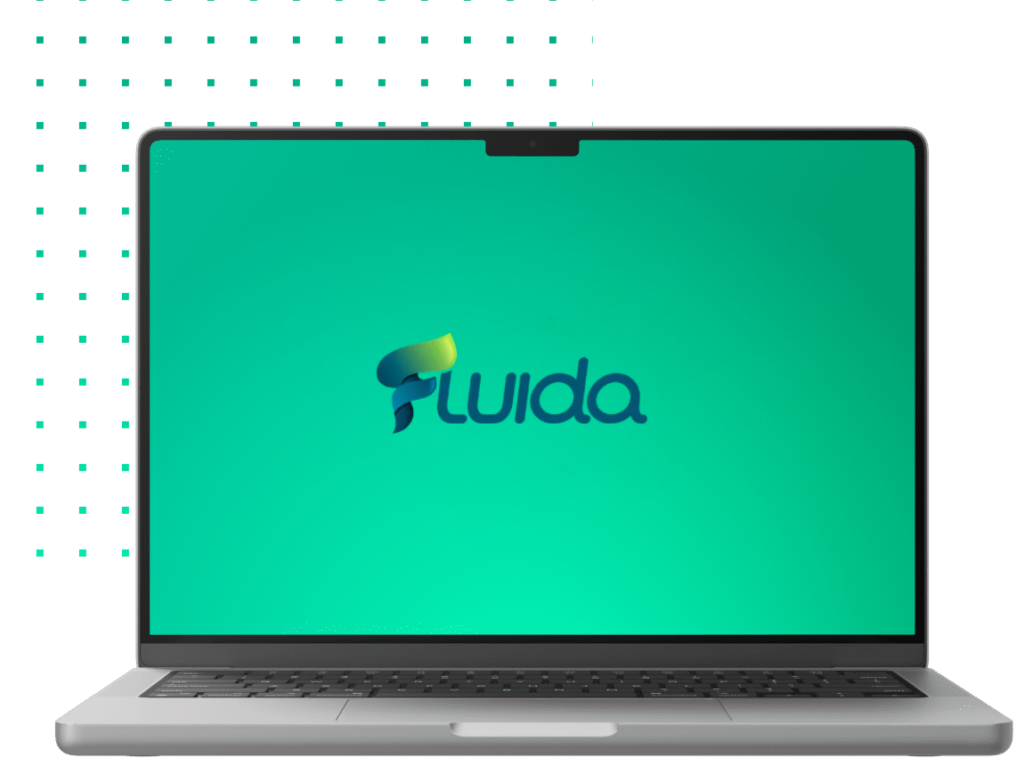 Software Fluida su laptop